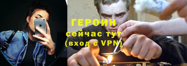 индика Богородск
