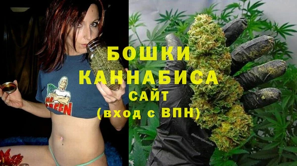 индика Богородск