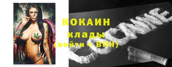 сатива Богданович