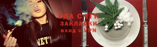 индика Богородск