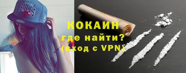 индика Богородск