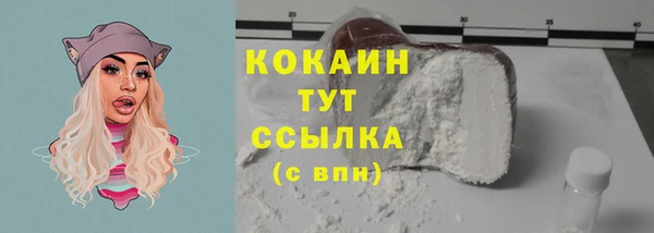 винт Богородицк