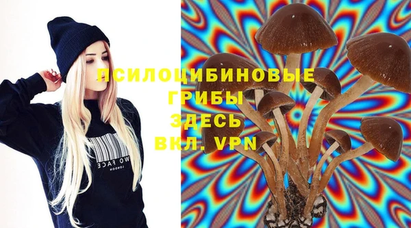 сатива Богданович