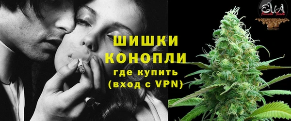 индика Богородск
