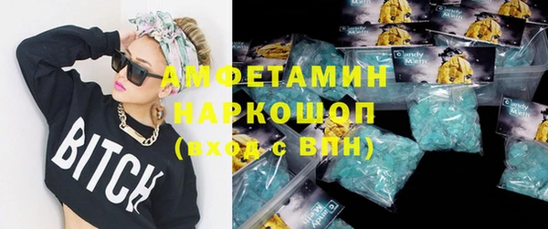 индика Богородск