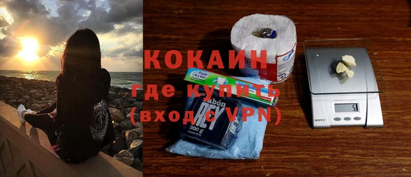 сатива Богданович