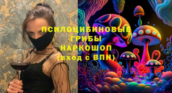 винт Богородицк