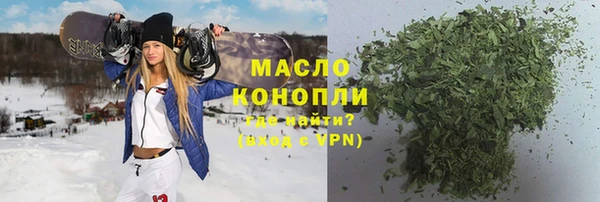 индика Богородск
