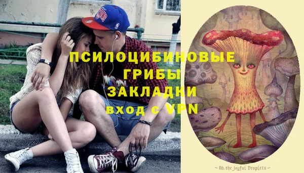 скорость Бородино