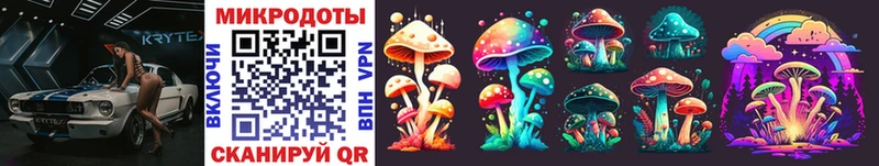 Купить где  Дигора  Псилоцибиновые грибы Cubensis 