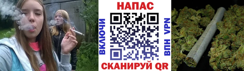 Купить  Дигора  Канабис план 